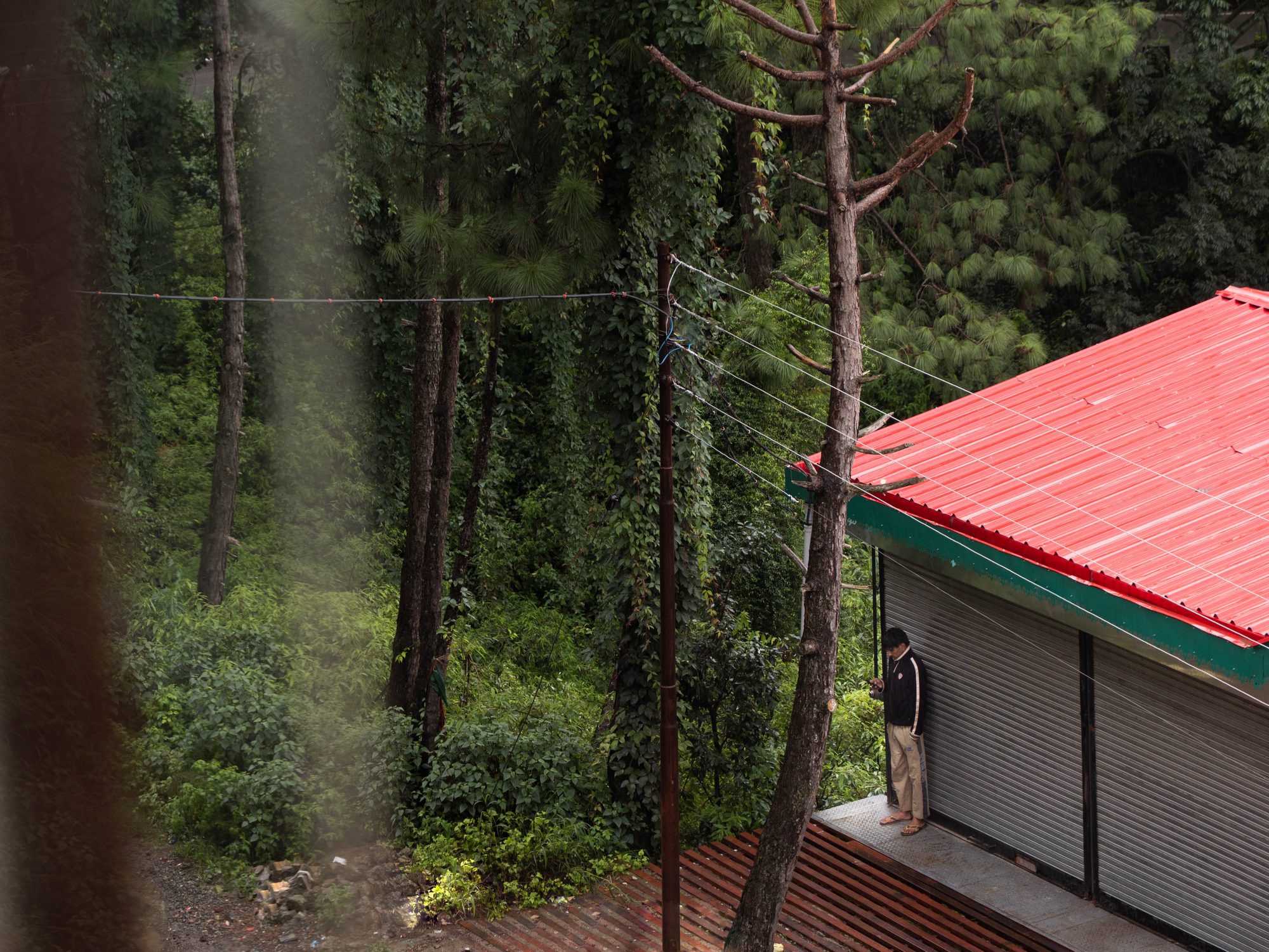 A person stands outside a small building with a bright red metal roof, surrounded by tall trees and dense green forest.